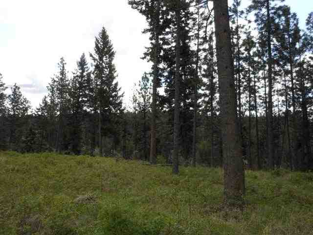 13300 East Moffat Road Spokane, WA 99217 - Photo 9 of 11