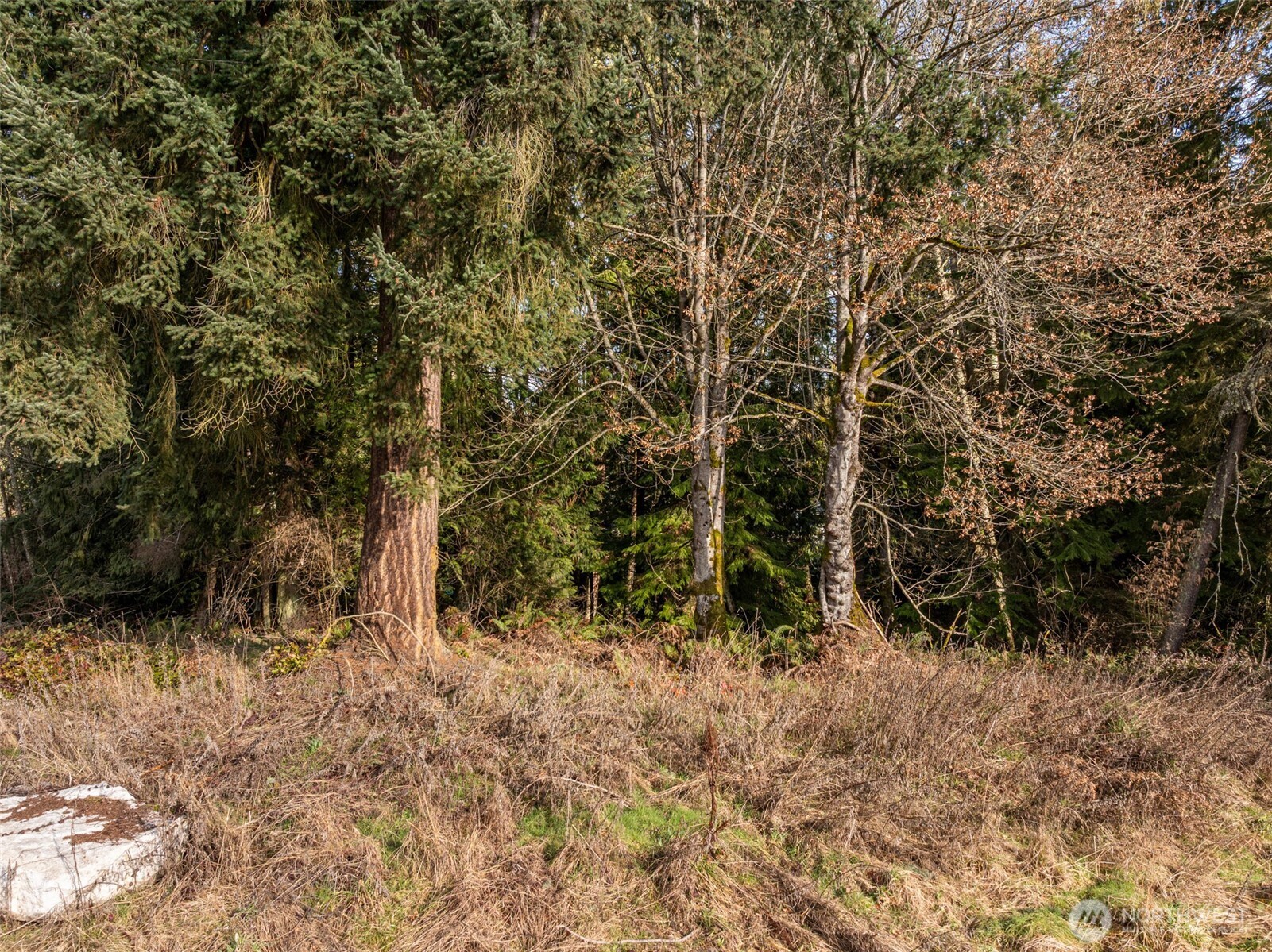 2211 East Lindberg Road Port Angeles, WA 98362 - Photo 16 of 21