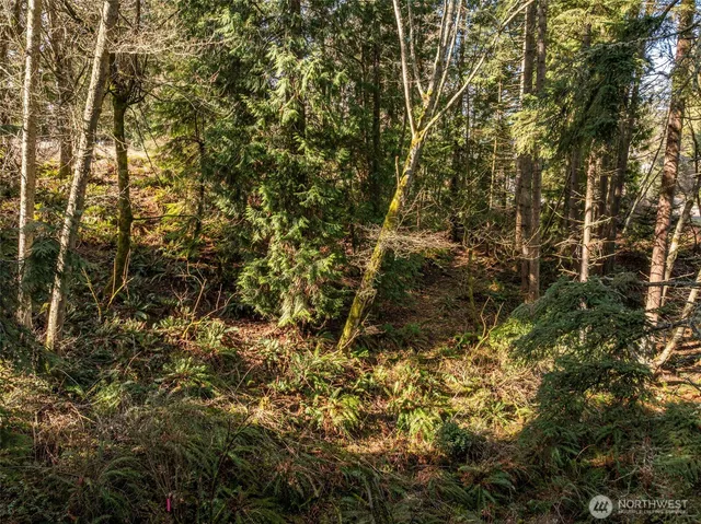 $85,000 | 2211 East Lindberg Road, Port Angeles, WA 98362