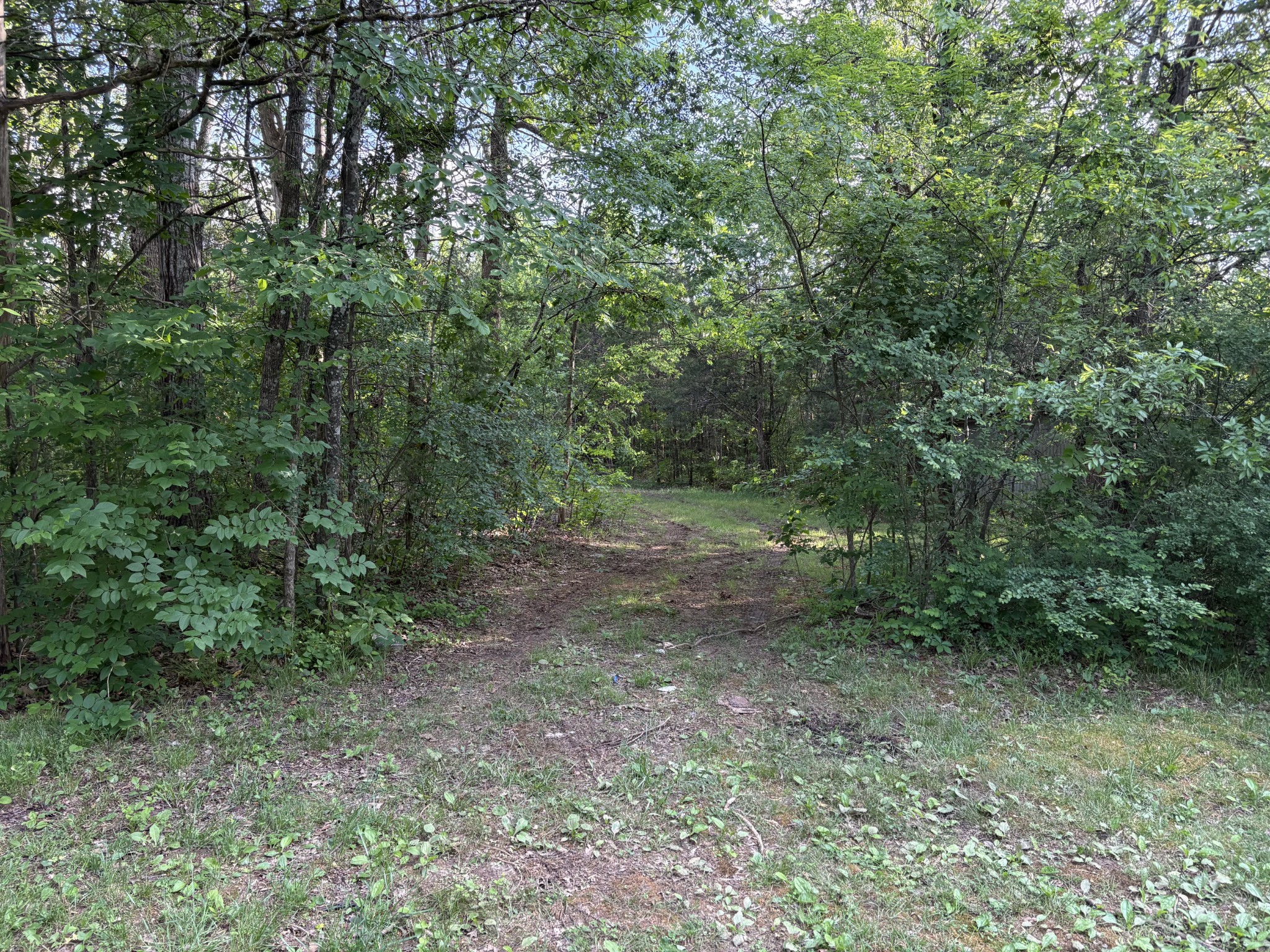 260 Simmons Bluff Road Lebanon, TN 37090 - Photo 6 of 30 Gallery Image 6
