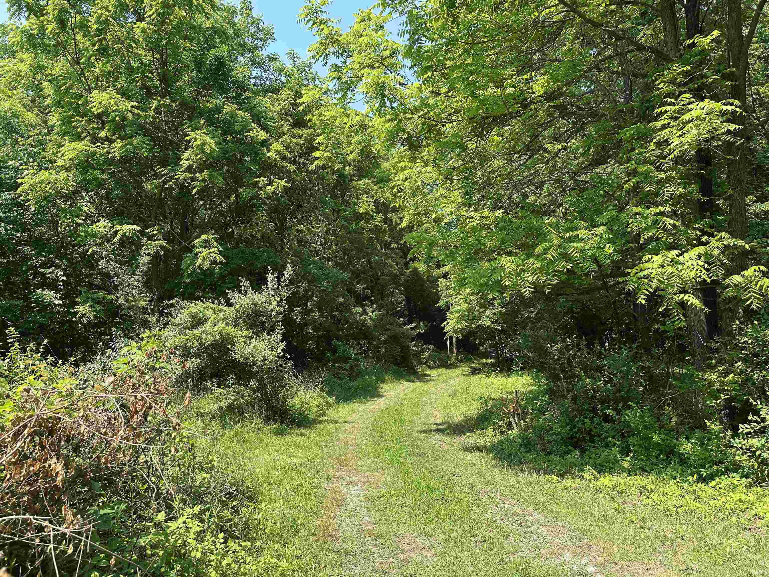 1233 North Mexico Road Peru, IN 46970 - Photo 7 of 13