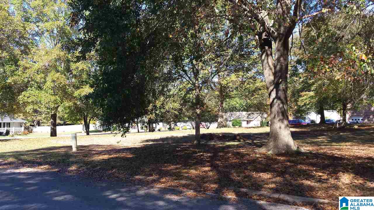 27 Ingram Street, Unit 27 Vincent, AL 35178 - Photo 5 of 6 Gallery Image 5