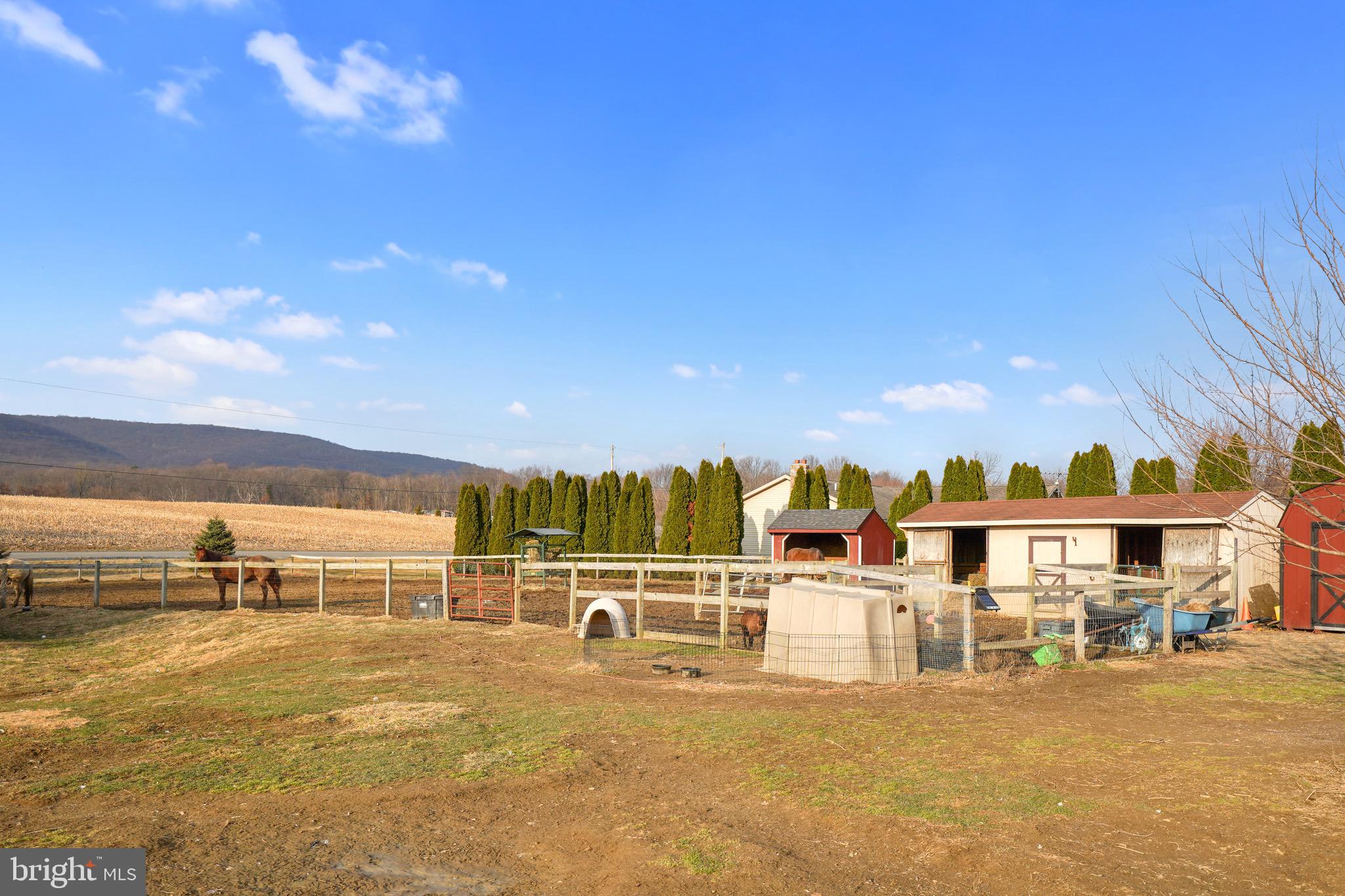 348 Bloody Spring Road Bernville, PA 19506 - Photo 19 of 23 Yard
