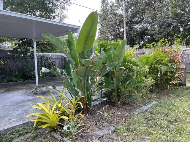 a view of a backyard
