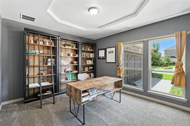 a living room with furniture a rug potted plant and a large window