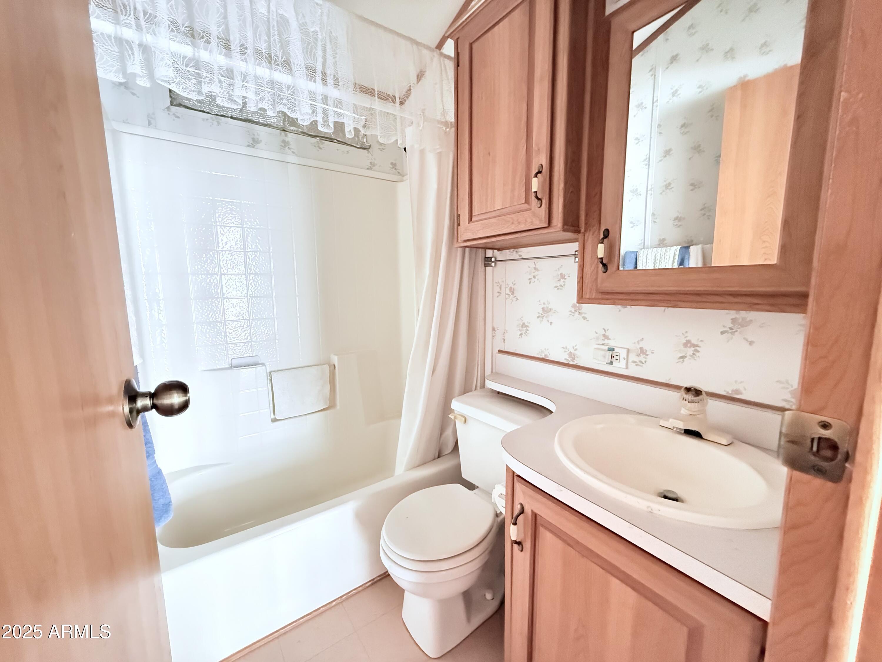 646 Hawks Eye Drive Apache Junction, AZ 85119 - Photo 17 of 17 a bathroom with a sink a toilet and shower