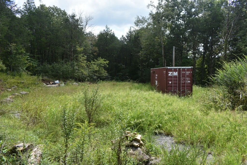 145 Ballenger Road Carthage, TN 37030 - Photo 2 of 3 Gallery Image 2