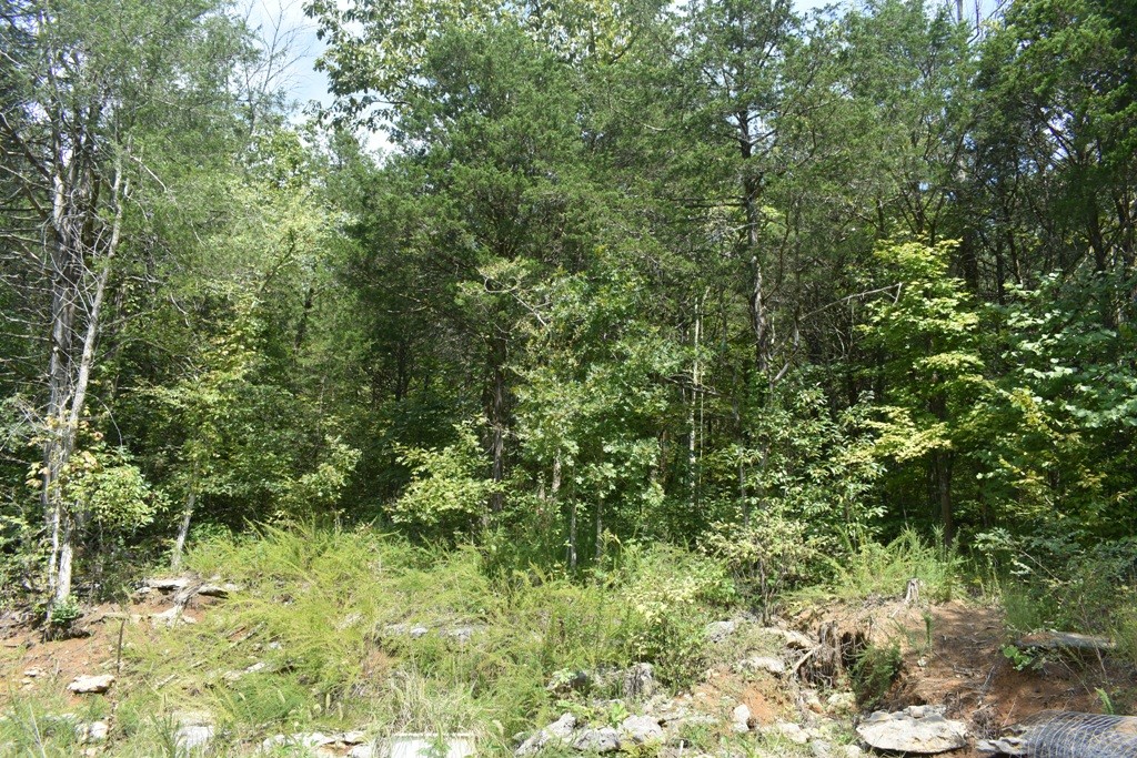 145 Ballenger Road Carthage, TN 37030 - Photo 3 of 3 Gallery Image 3
