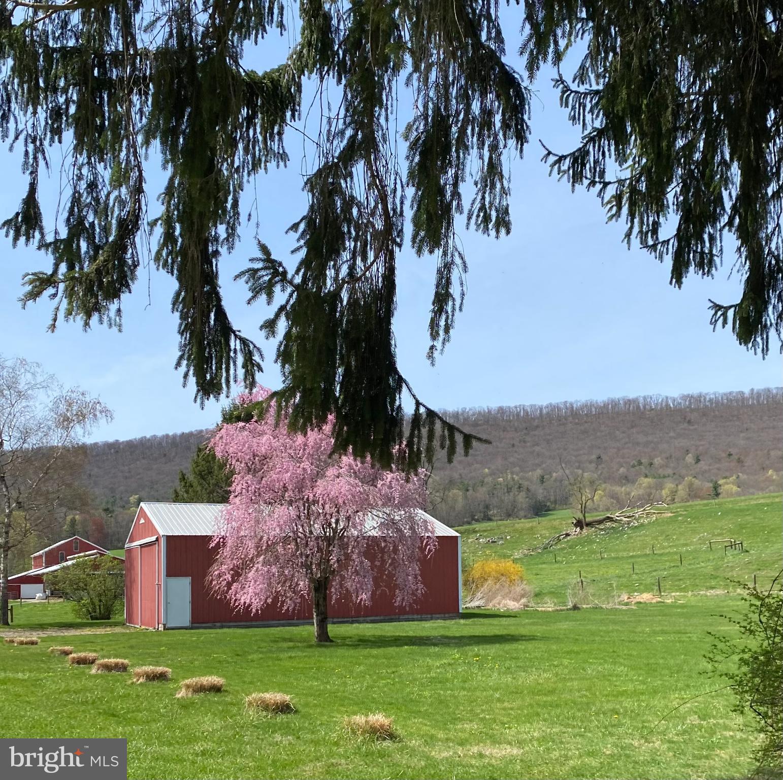 1329 Summer Mountain Road Loganton, PA 17747 - Photo 21 of 56 a view of a garden with an tree