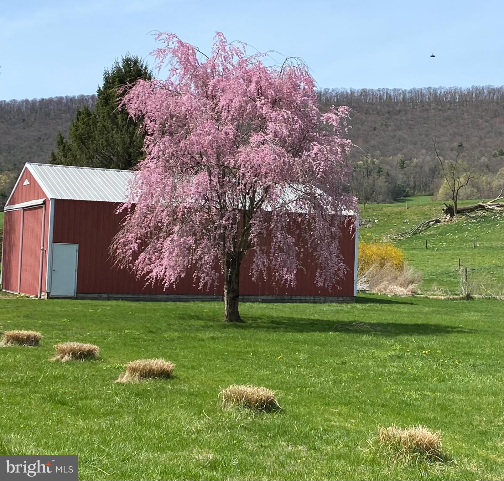 1329 Summer Mountain Road Loganton, PA 17747 - Photo 22 of 56 a backyard of a house with lots of green space