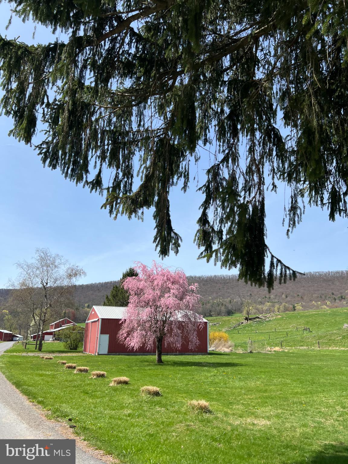 1329 Summer Mountain Road Loganton, PA 17747 - Photo 23 of 56 a view of a house with a yard