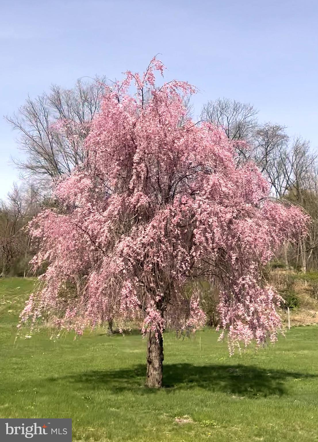 1329 Summer Mountain Road Loganton, PA 17747 - Photo 24 of 56