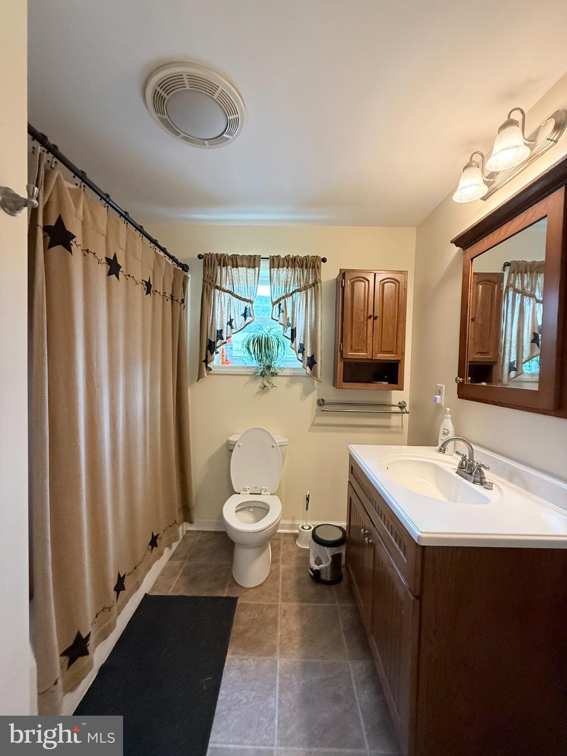 1329 Summer Mountain Road Loganton, PA 17747 - Photo 42 of 56 a bathroom with a sink a toilet and shower