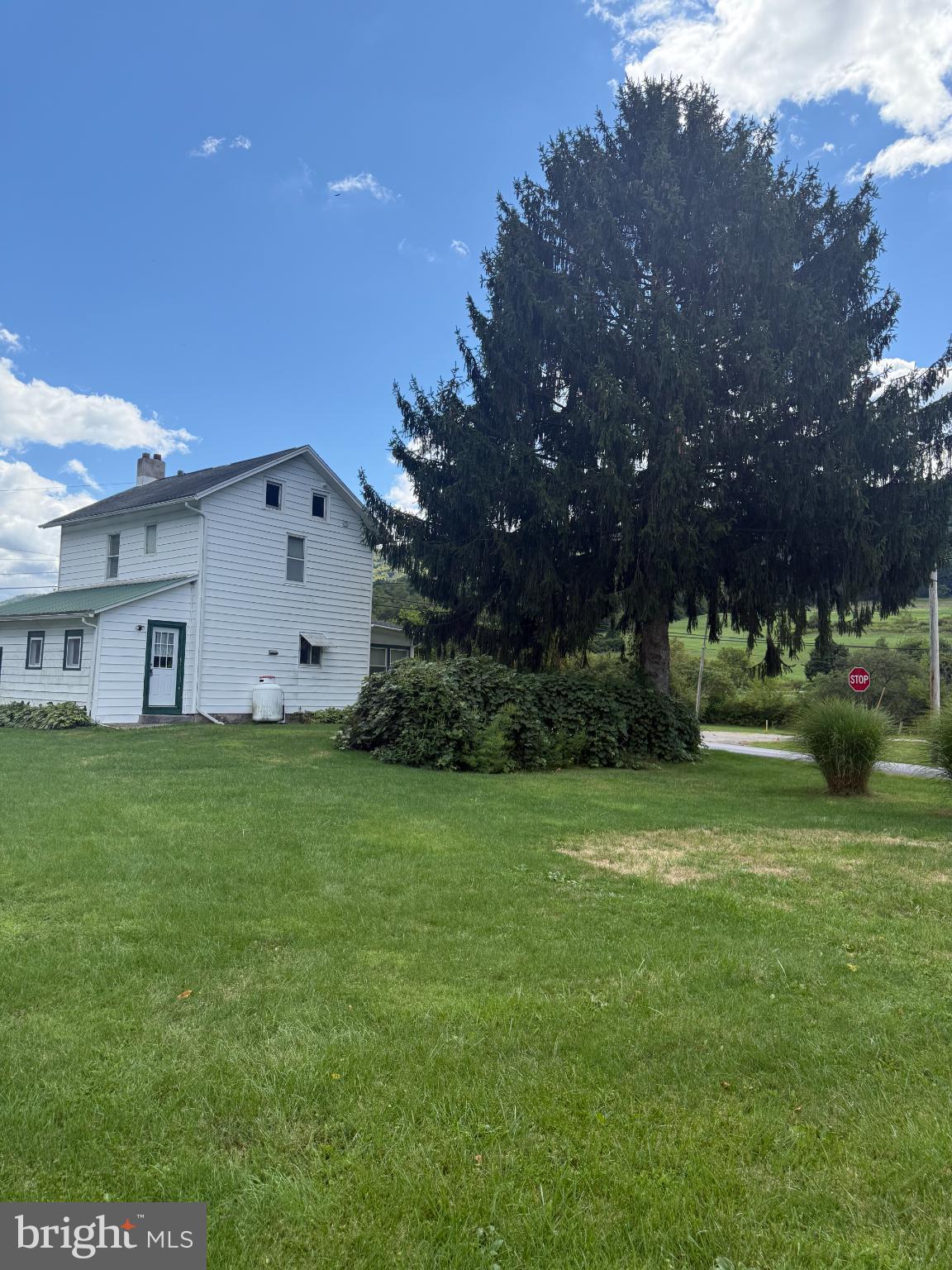 1329 Summer Mountain Road Loganton, PA 17747 - Photo 53 of 56 a view of a large garden with large trees