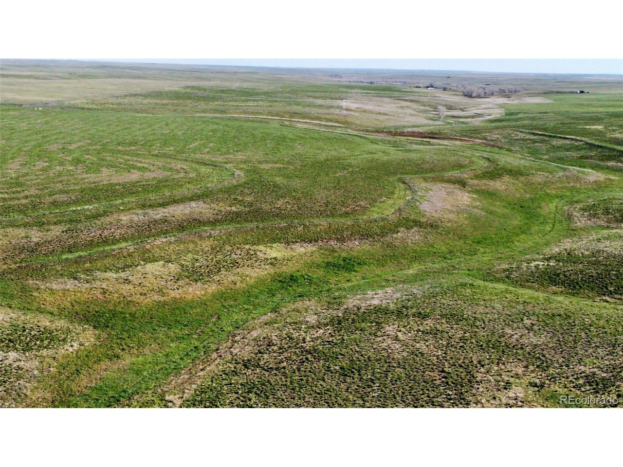 166 County Road Deer Trail, CO 80105 - Photo 4 of 10