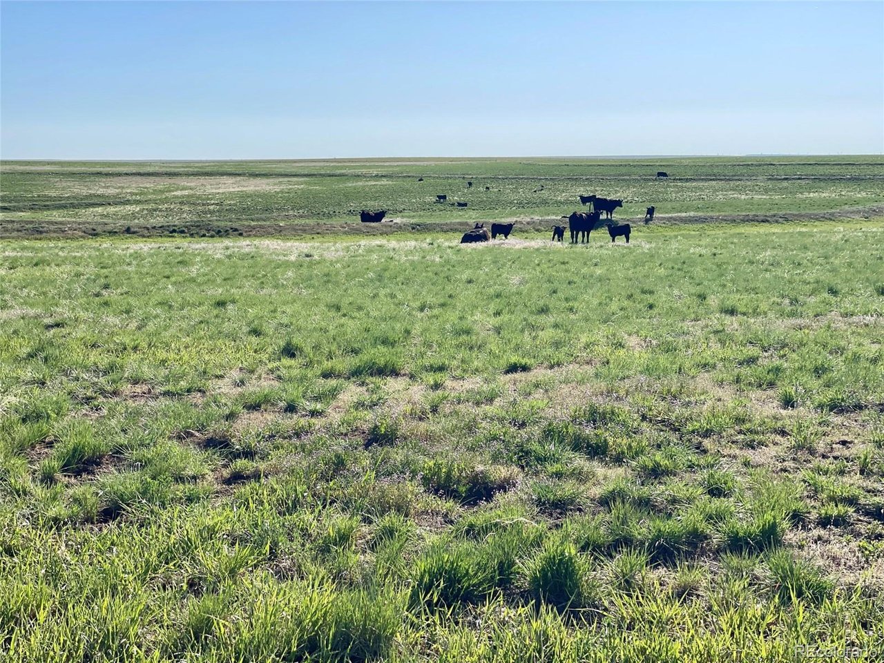 166 County Road Deer Trail, CO 80105 - Photo 7 of 10