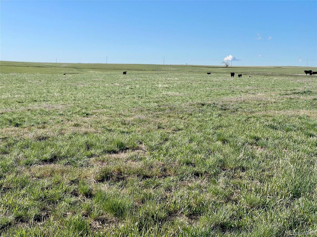 166 County Road Deer Trail, CO 80105 - Photo 8 of 10 a view of an ocean