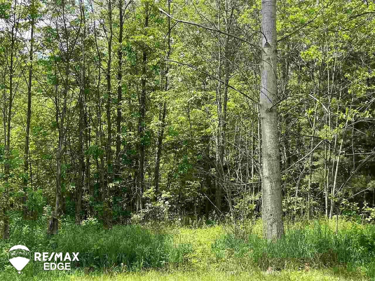 4319 Catlin Road Columbiaville, MI 48421 - Photo 31 of 46 50076350-31.JPG