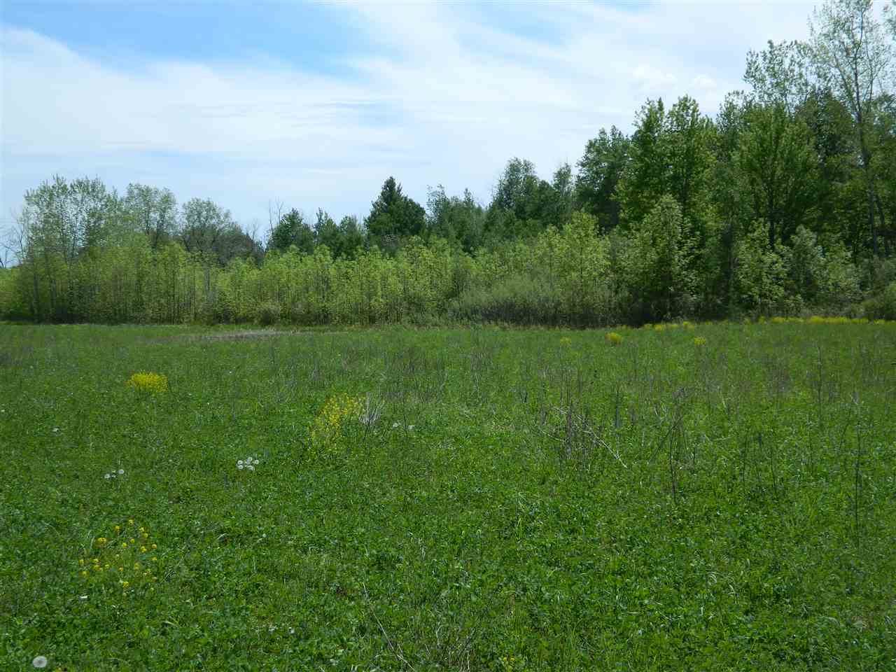 0 West Mt Forest Road Pinconning, MI 48650 - Photo 7 of 11
