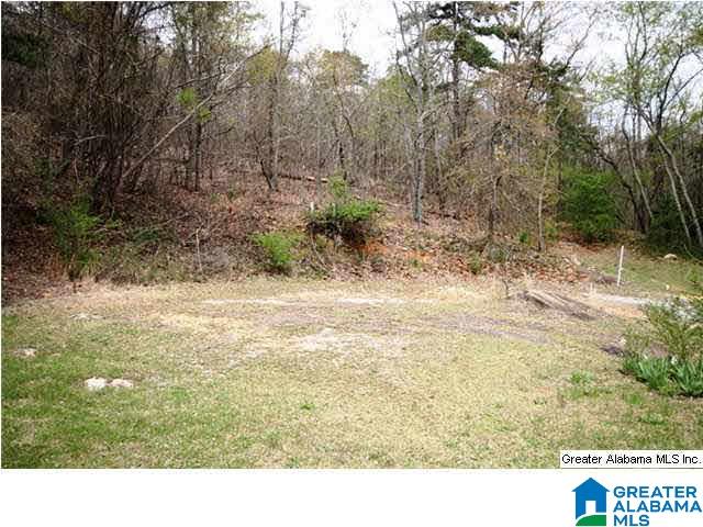 0 Pace Street Anniston, AL 36207 - Photo 25 of 28