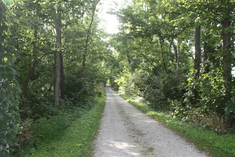 167 White Oak Road Stamping Ground, KY 40379 - Photo 1 of 16 Photo 1