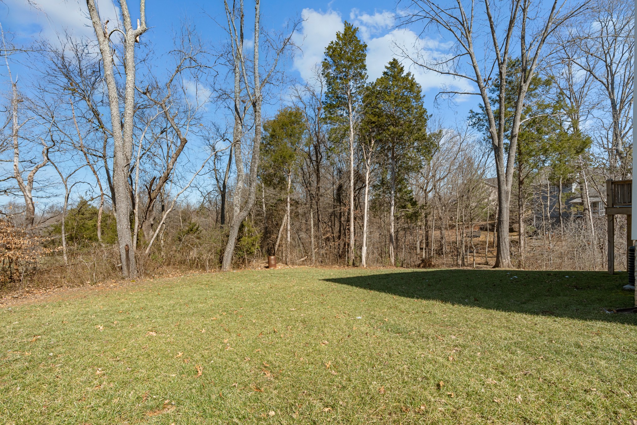 839 Cedar Lane Springfield, TN 37172 - Photo 29 of 34 a backyard of a house with lots of green space