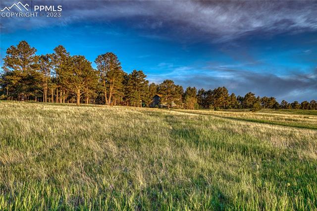 13623 South Spring Valley Road Larkspur, CO 80118 - Photo 39 of 43