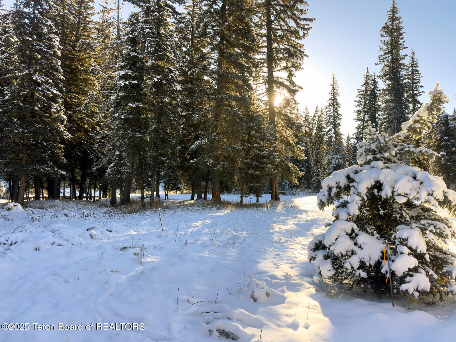 15635 Wagon Road Jackson, WY 83001 - Photo 2 of 7 IMG_3757
