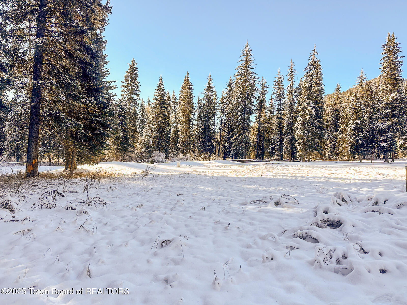 15635 Wagon Road Jackson, WY 83001 - Photo 5 of 7 IMG_3776