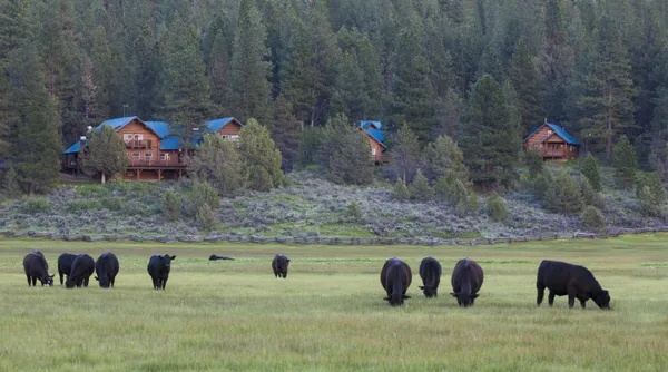 $12,000,000 | 0 Fishhole Creek Road, Bly, OR 97622