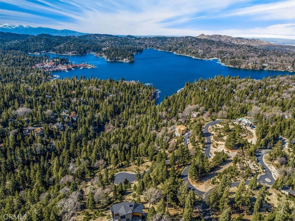 109 Mill Pond Road Lake Arrowhead, CA 92352 - Photo 6 of 43