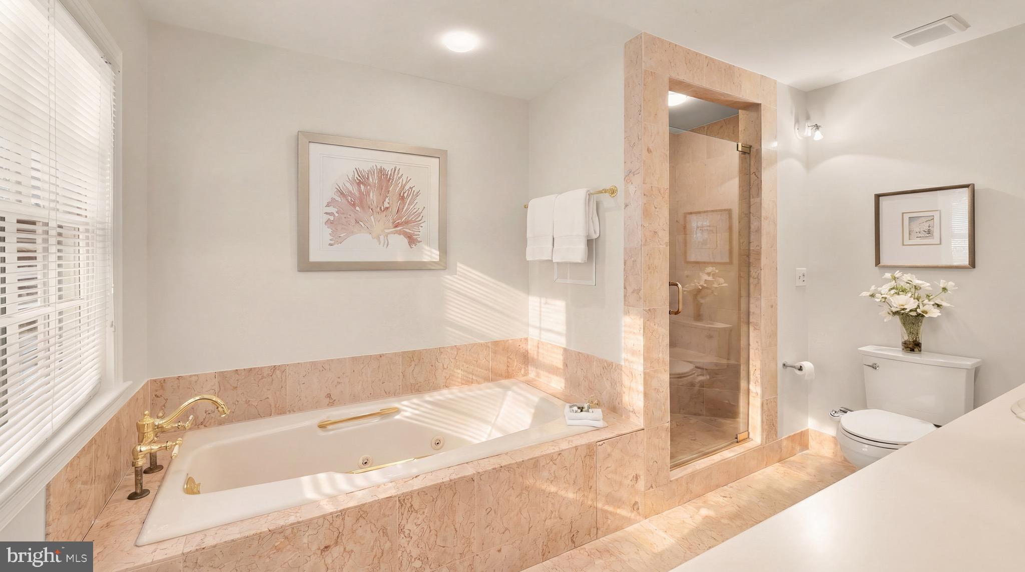 3640 Brandywine Street Northwest Washington, DC 20008 - Photo 20 of 39 a bathroom with a bathtub and a shower