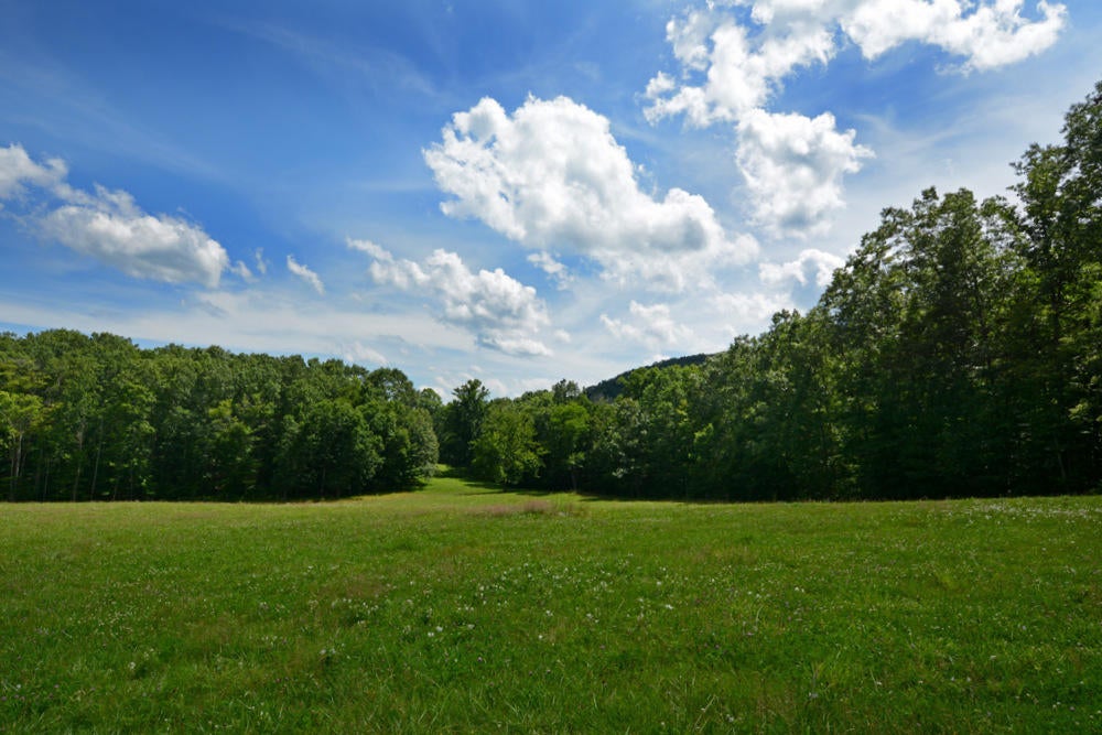 5225 Cornstalk Road Crawley, WV 24931 - Photo 3 of 44 Gallery Image 3