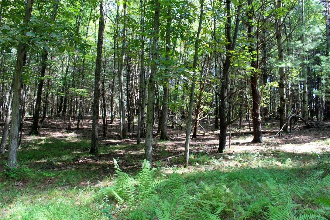 Parcel B Highwoods Road Saugerties, NY 12477 - Photo 1 of 1 Gallery Image 1