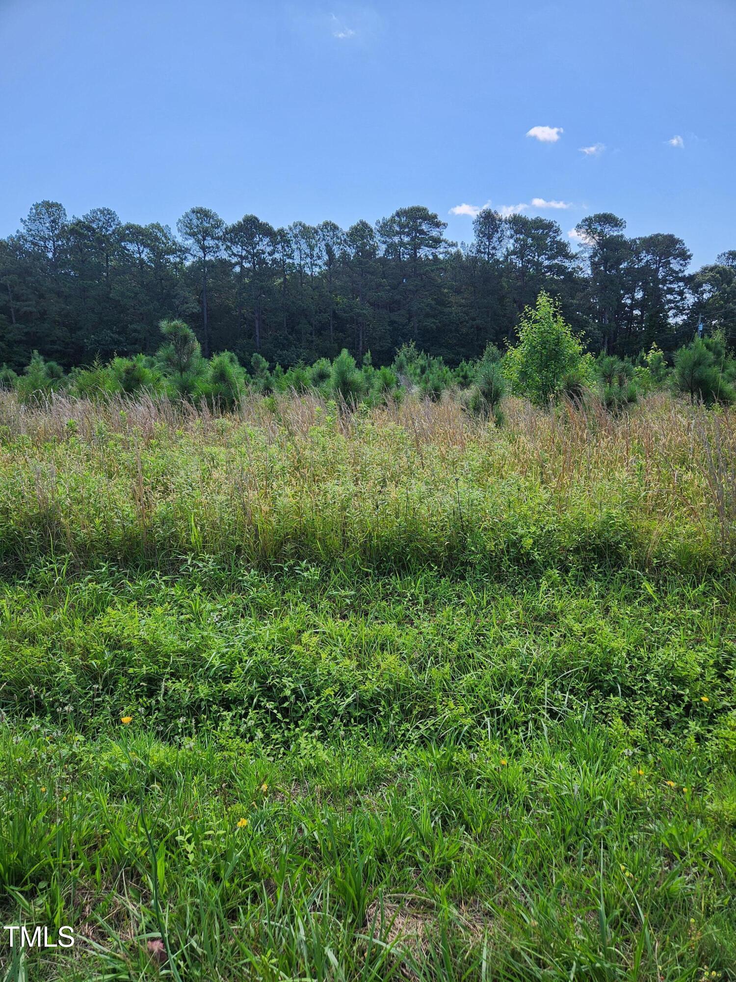 0 Paschall Station Road Warrenton, NC 27589 - Photo 2 of 3 20250609_105401