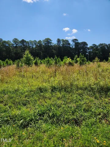 $23,900 | 0 Paschall Station Road, Warrenton, NC 27589