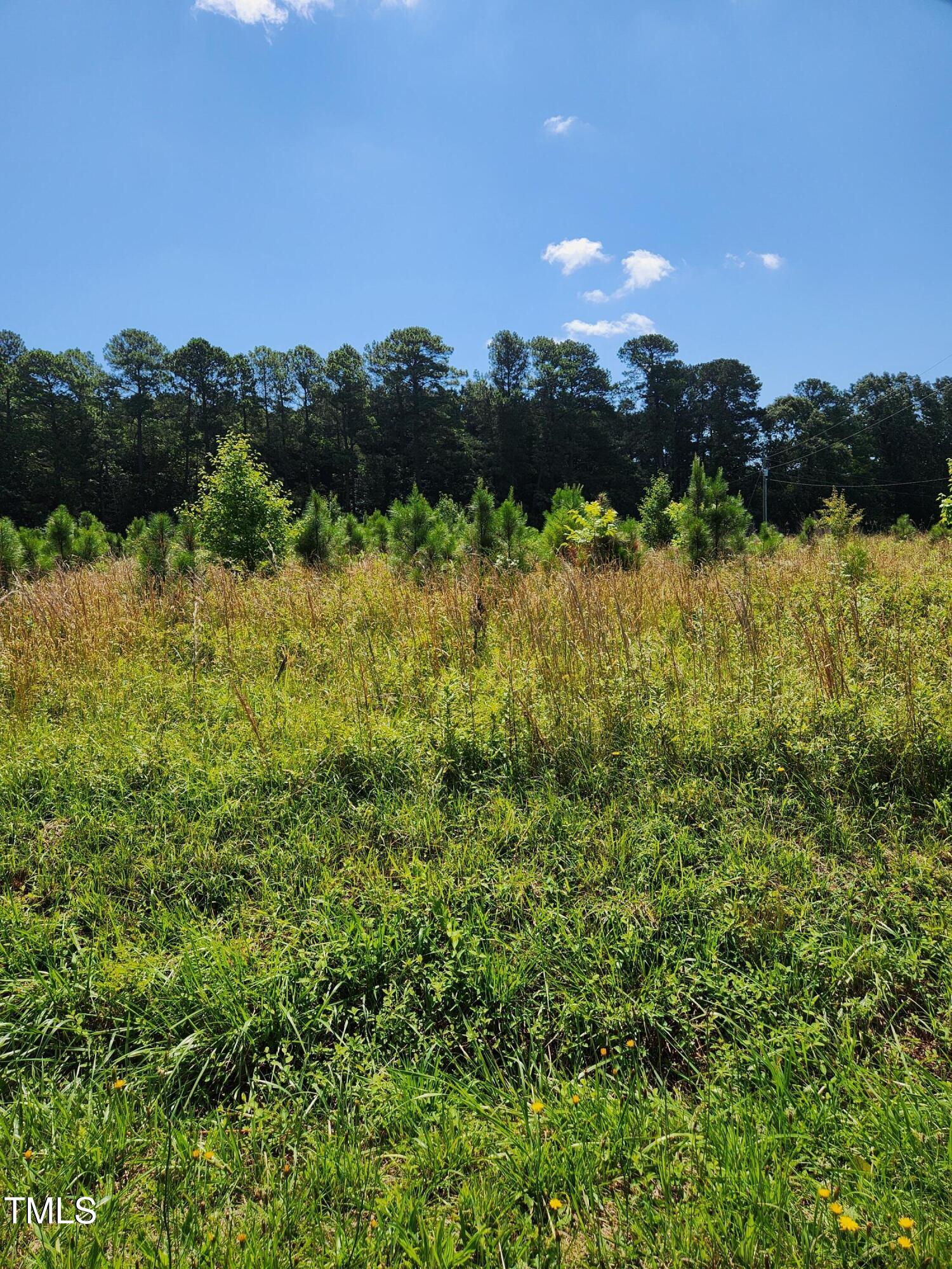 0 Paschall Station Road Warrenton, NC 27589 - Photo 3 of 3 20250609_105447