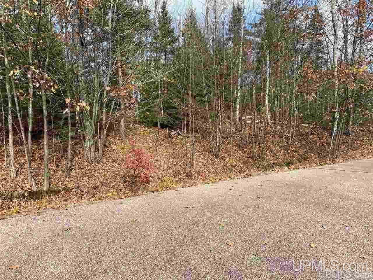 Tbd Lake Enchantment Road, Unit PARCEL 1 Marquette, MI 49855 - Photo 3 of 18