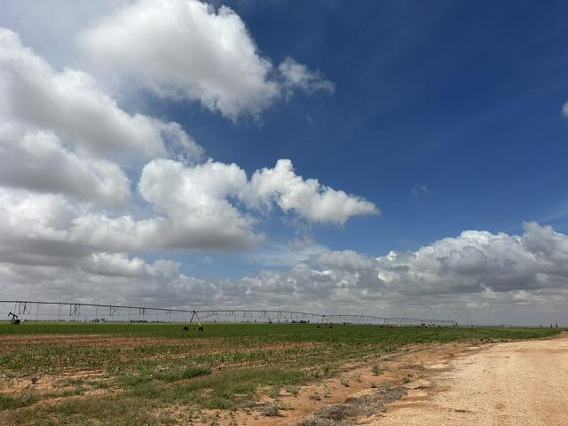 Cheyenne Road Levelland, TX 79336 - Photo 5 of 13 IMG_0045