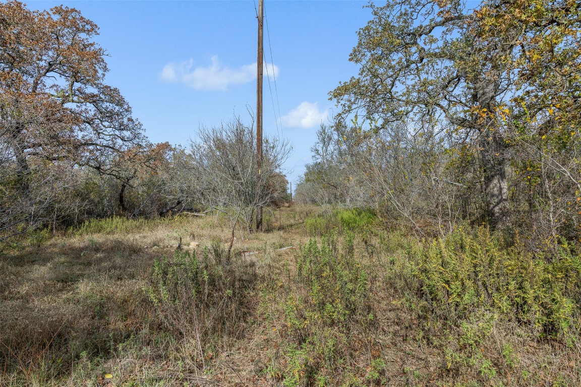 970 Bugtussle Lane Luling, TX 78648 - Photo 4 of 12 View of undeveloped land