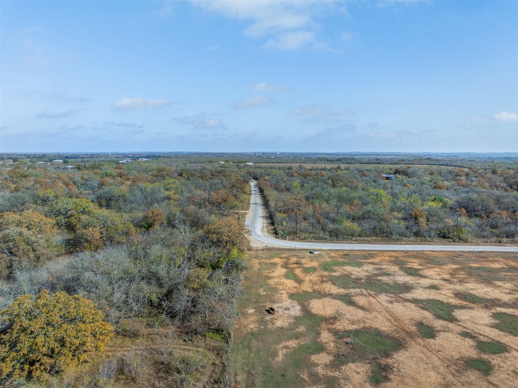 970 Bugtussle Lane Luling, TX 78648 - Photo 10 of 12 Bird's eye view of a forest