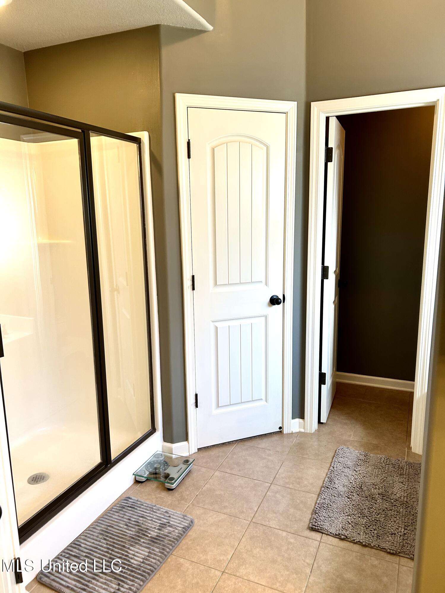 67 Shady Ln Cove Hernando, MS 38632 - Photo 12 of 23 Primary Walk-in Shower