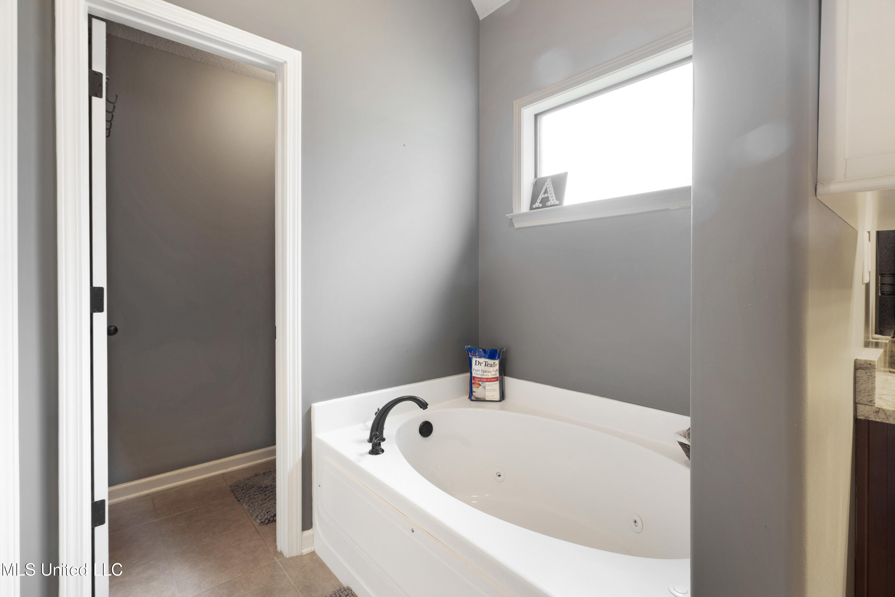 67 Shady Ln Cove Hernando, MS 38632 - Photo 13 of 23 Primary Bath