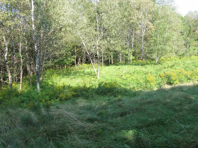 $69,000 | 0 River Road, North Troy, VT 05859