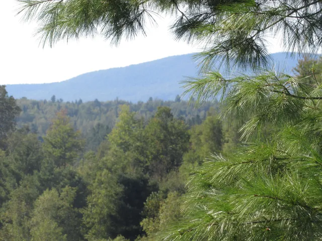 $69,000 | 0 River Road, North Troy, VT 05859