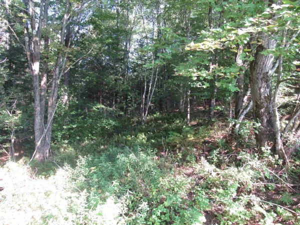 $69,000 | 0 River Road, North Troy, VT 05859