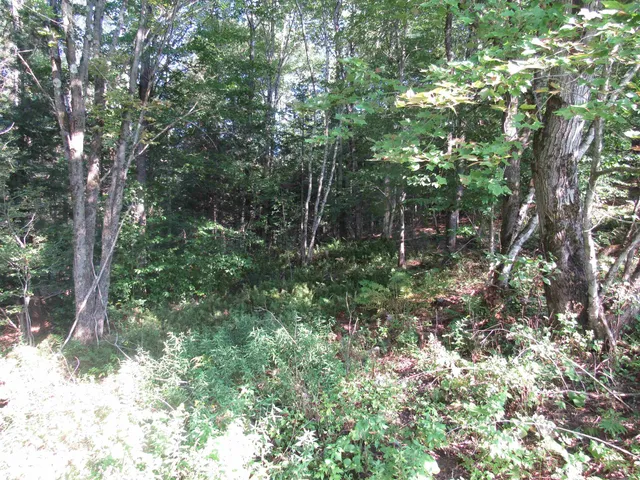 $69,000 | 0 River Road, North Troy, VT 05859