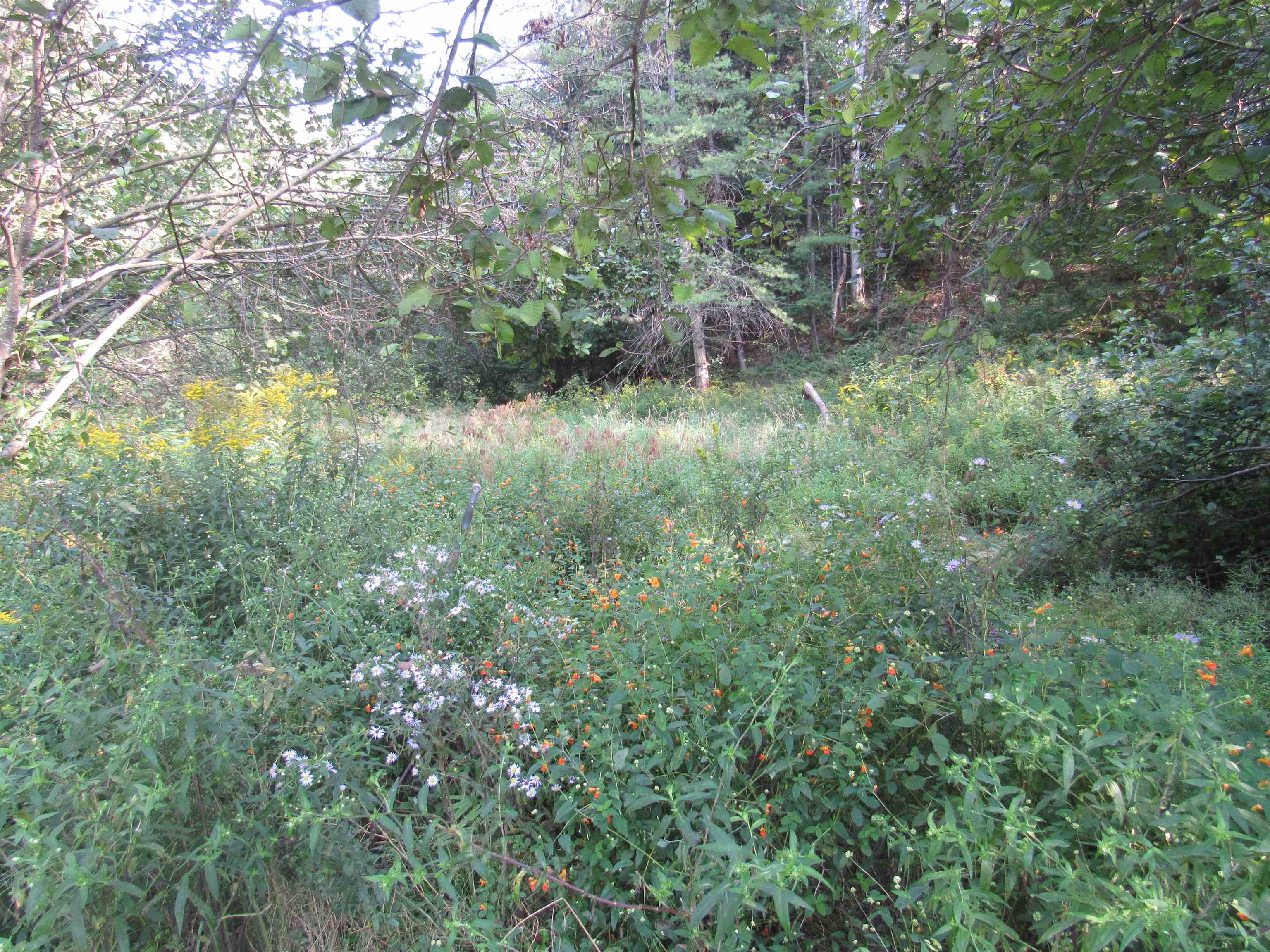 0 River Road North Troy, VT 05859 - Photo 8 of 15 Gallery Image 8