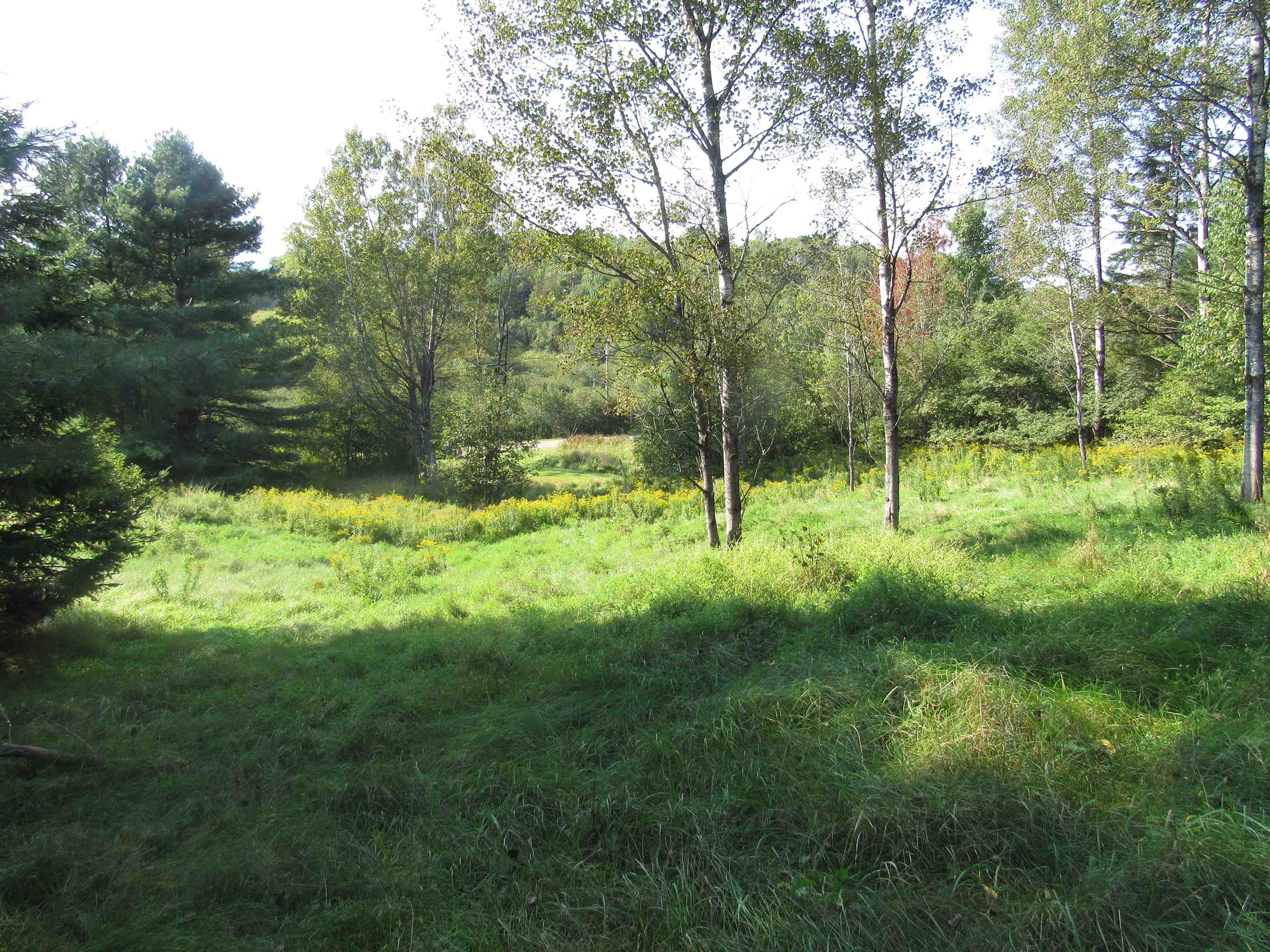 0 River Road North Troy, VT 05859 - Photo 10 of 15 Gallery Image 10