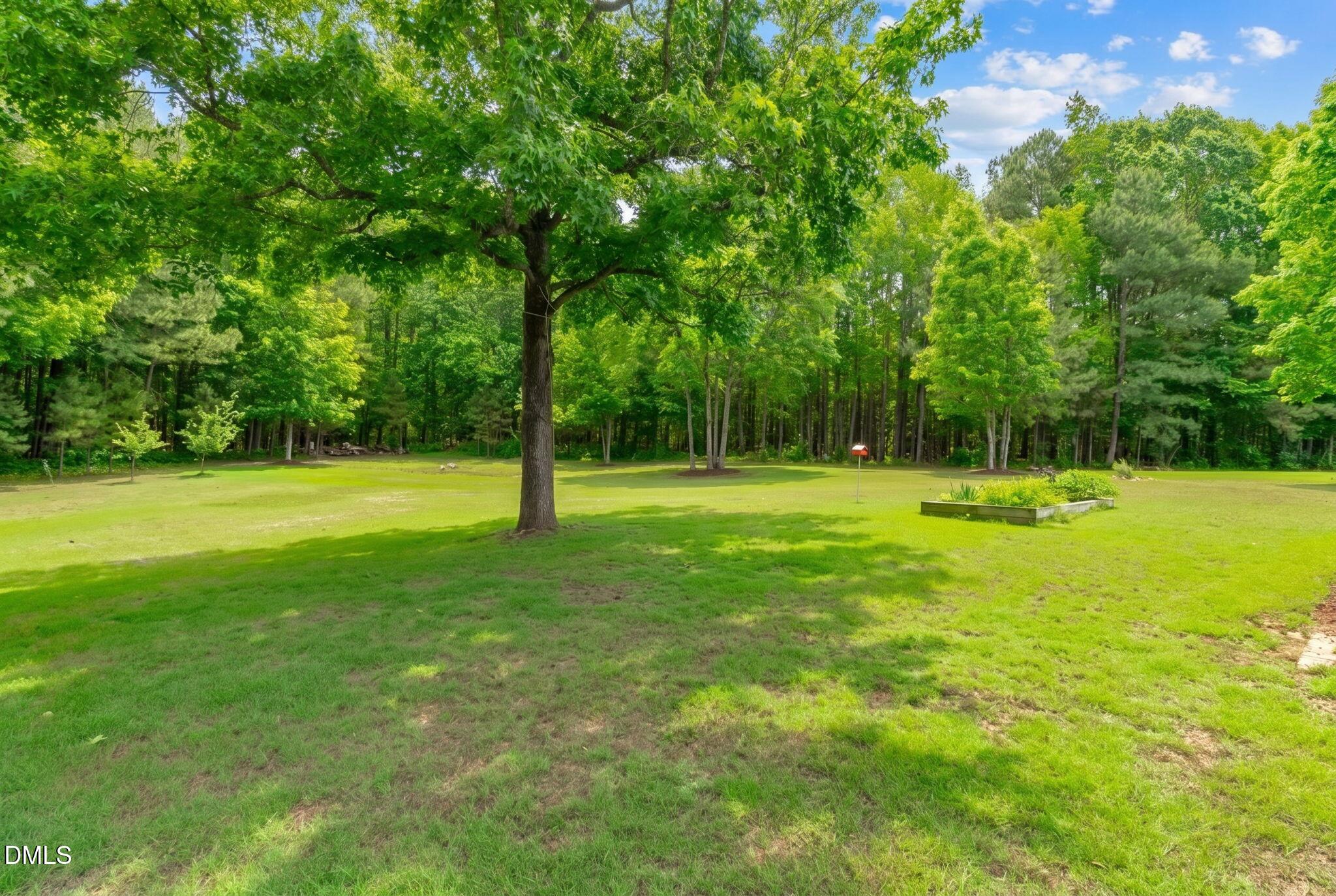 3320 Bryant Falls Court Raleigh, NC 27613 - Photo 46 of 51 C3
